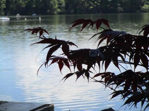 120 Barton Rd, Stow, MA 01775 photo 12