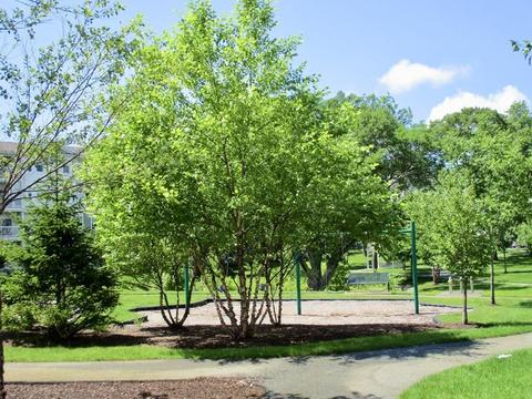 75 Augustus Ct #2010, Reading, MA 01867 photo 27