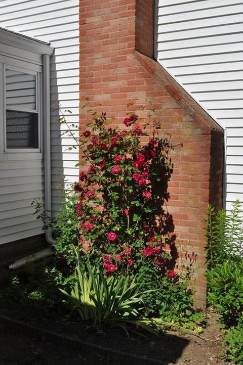 24 Chipman Rd, Beverly, MA 01915 photo 3