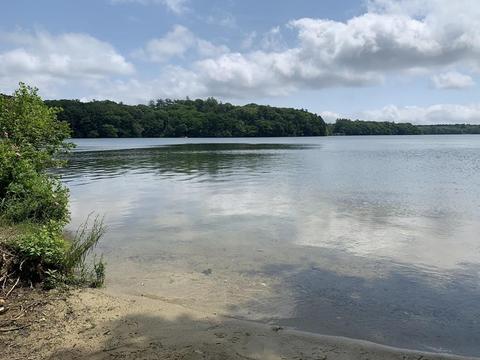 3 Hornbeam Ln, Mashpee, MA 02649 photo 32