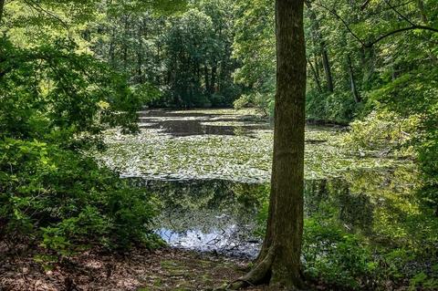85 Ledgeways, Wellesley, MA 02481 photo 19