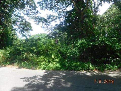 174 Cobble Stone Rd, Barnstable, MA 02630 photo 9