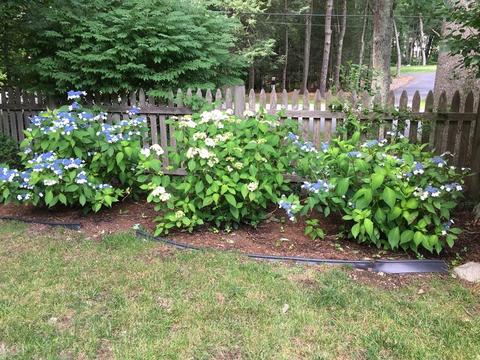 25 Rocky Brook Rd, Dover, MA 02030 photo 41