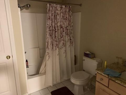 63 Maple St #E, Canton, MA 02021 photo 9