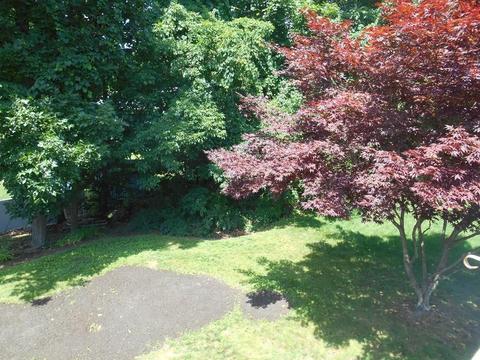 72 Darnell Rd, Worcester, MA 01606 photo 28