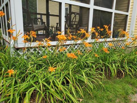 95 Maple St, Stow, MA 01775 photo 41