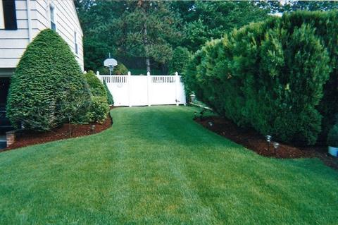 199 Colwell Dr, Dedham, MA 02026 photo 36