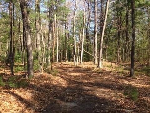 258 Glendale Rd, Northampton, MA 01062 photo 3