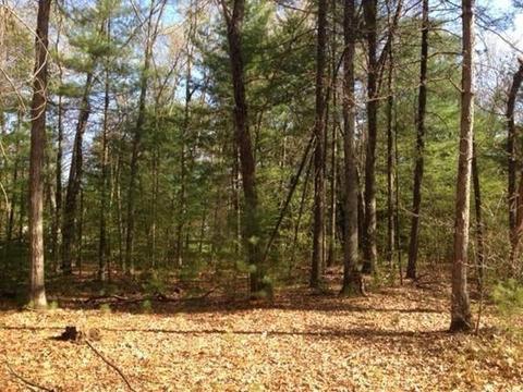 258 Glendale Rd, Northampton, MA 01062 photo 2