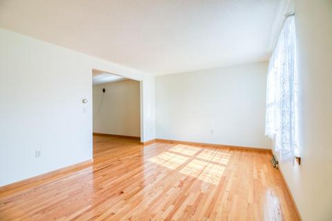 14 Pheasant Dr, Springfield, MA 01119 photo 12
