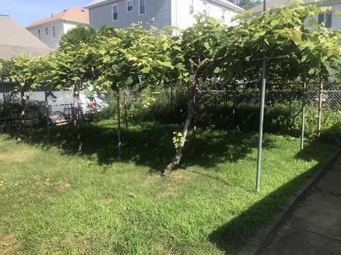 102 Earle St, Fall River, MA 02723 photo 4