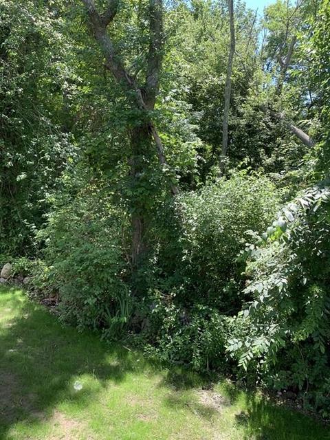 15 Chestnuthill Dr, Fall River, MA 02720 photo 11