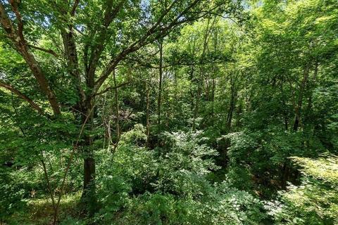451 Hapgood St, Athol, MA 01331 photo 24