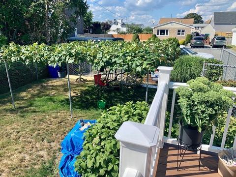 9 Roosevelt St, Fall River, MA 02724 photo 17