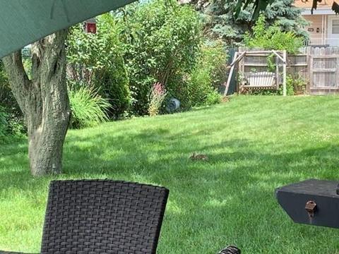 108 Whittier St, Fall River, MA 02724 photo 29
