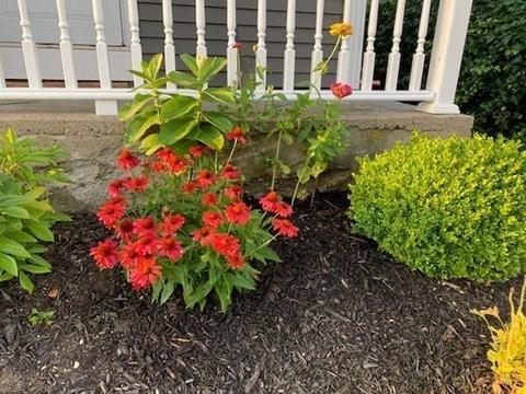 108 Whittier St, Fall River, MA 02724 photo 31