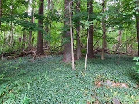 149 W Main St, Georgetown, MA 01833 photo 5