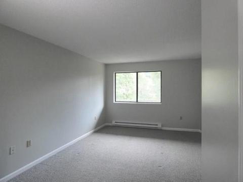 10 Rutledge St #2A, Worcester, MA 01604 photo 13