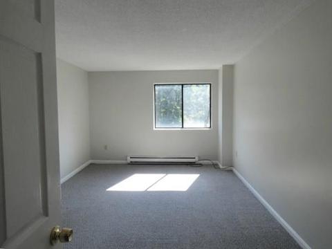 10 Rutledge St #2A, Worcester, MA 01604 photo 32