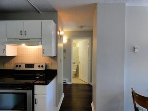 10 Rutledge St #2A, Worcester, MA 01604 photo 8