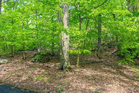 177 Meadowbrook, Dedham, MA 02026 photo 20