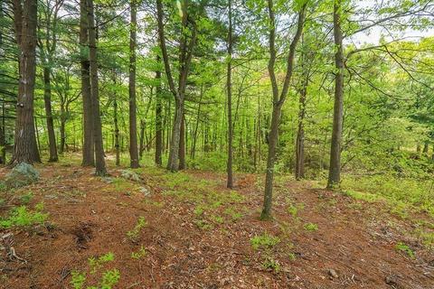 177 Meadowbrook, Dedham, MA 02026 photo 10