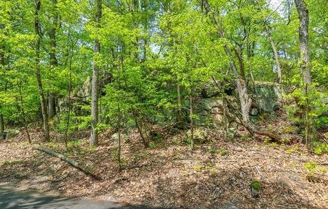 177 Meadowbrook, Dedham, MA 02026 photo 3