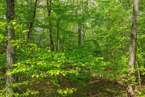 177 Meadowbrook, Dedham, MA 02026 photo 23