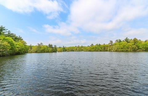 177 Meadowbrook, Dedham, MA 02026 photo 9