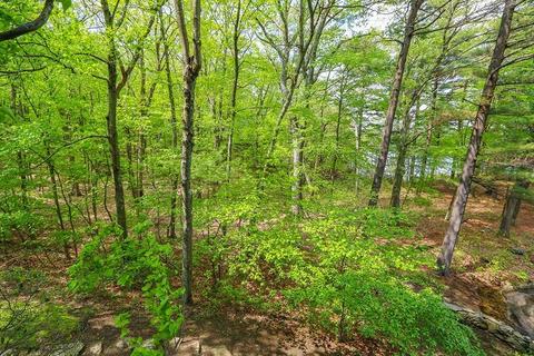 177 Meadowbrook, Dedham, MA 02026 photo 19