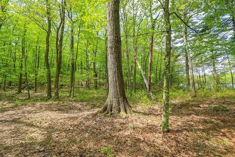 177 Meadowbrook, Dedham, MA 02026 photo 15