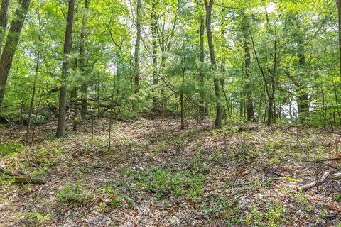 177 Meadowbrook, Dedham, MA 02026 photo 21