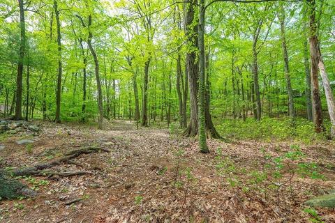 177 Meadowbrook, Dedham, MA 02026 photo 2
