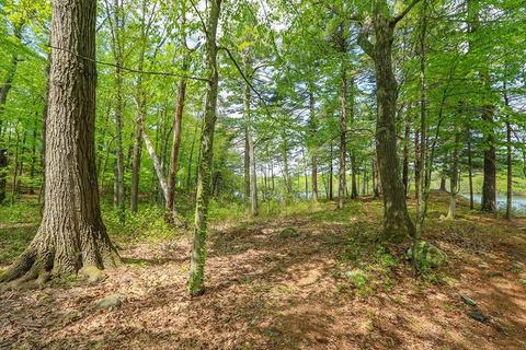 177 Meadowbrook, Dedham, MA 02026 photo 17