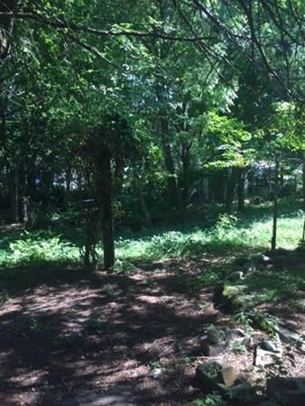 60 Dunbar St, Canton, MA 02021 photo 4