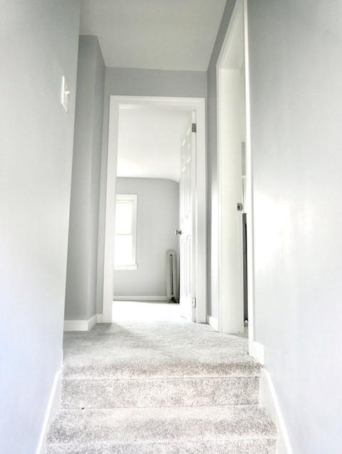 22 Boyer St, Springfield, MA 01109 photo 33