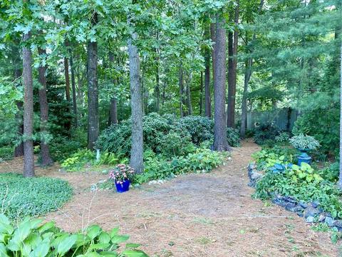 32 Robbins Rd, Walpole, MA 02081 photo 39