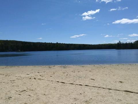 73 Beaver Lake Rd, Ware, MA 01082 photo 39