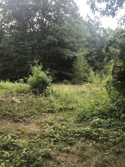 71 Edwards Rd, Westhampton, MA 01027 photo 4