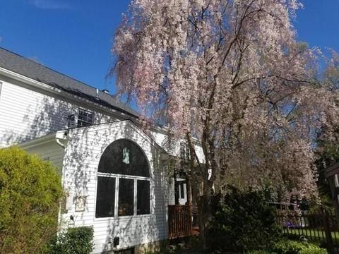 7 Plumbley Rd, Upton, MA 01568 photo 5