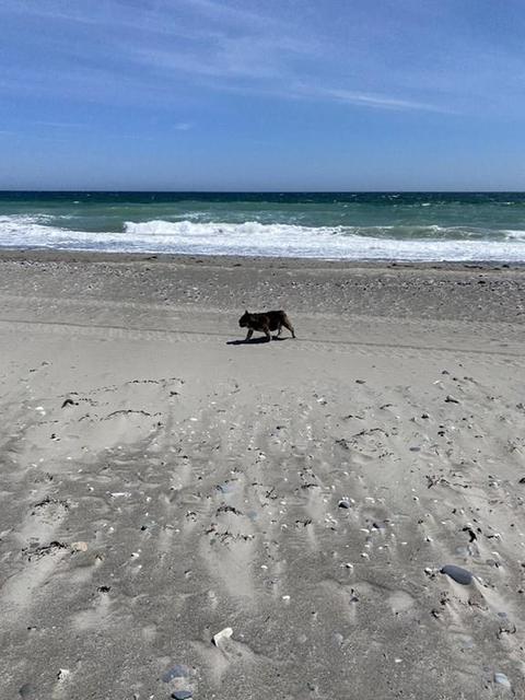 44 H, Hull, MA 02045 photo 33