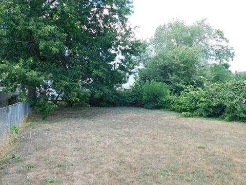 76 Manhattan St, Springfield, MA 01109 photo 27