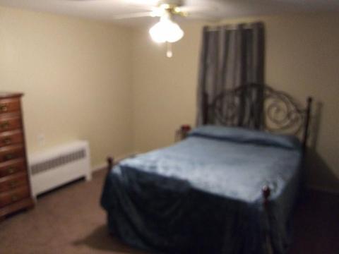 2 Robertson Rd, Worcester, MA 01602 photo 8