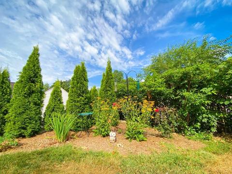 60 Old Brook Rd, Springfield, MA 01118 photo 39