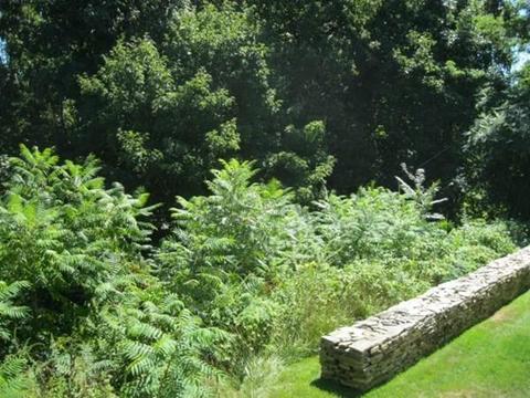 17 Montclair Dr, Worcester, MA 01609 photo 6