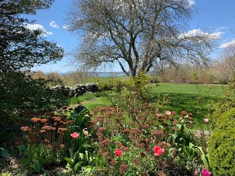 191 W Main Rd, Little Compton, RI 02837 photo 5