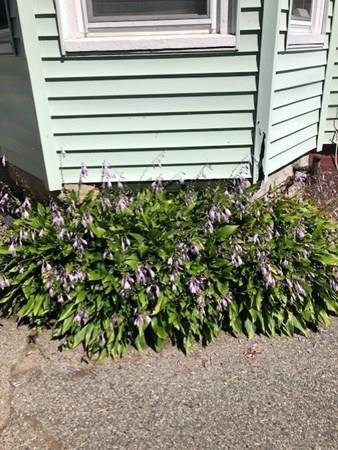 5 Trinity Ave, Lynn, MA 01902 photo 24