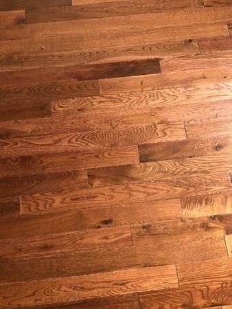 5 Trinity Ave, Lynn, MA 01902 photo 20