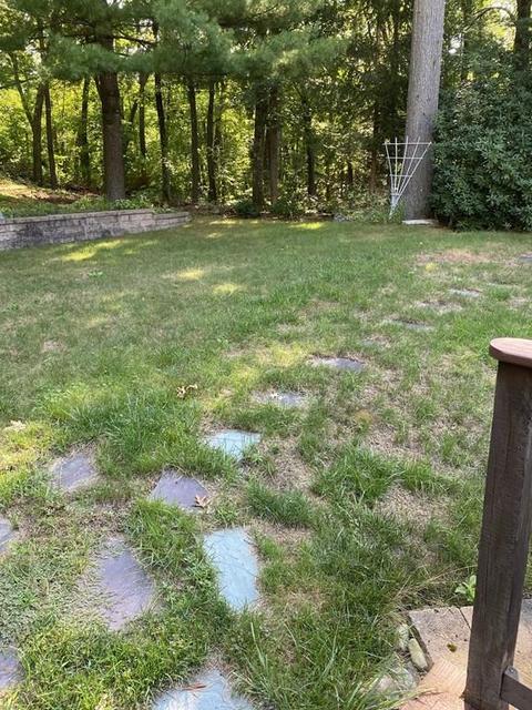 222 Olean St, Worcester, MA 01602 photo 12