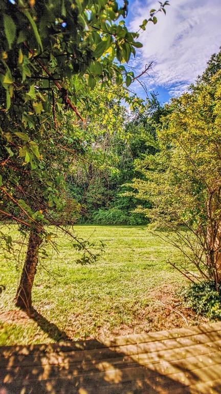 170 E Hadley Rd #75, Amherst, MA 01002 photo 6